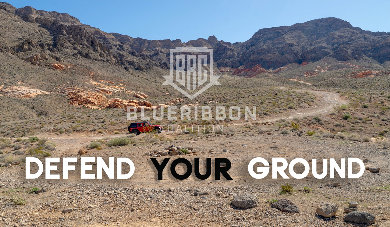 Help us Protect 237 Miles of Trails in the Muddy Mountains Travel Management Plan in Nevada