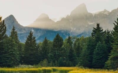 Once-In-A-Generation Opportunity: Help Expand Recreational Access in Bridger-Teton National Forest