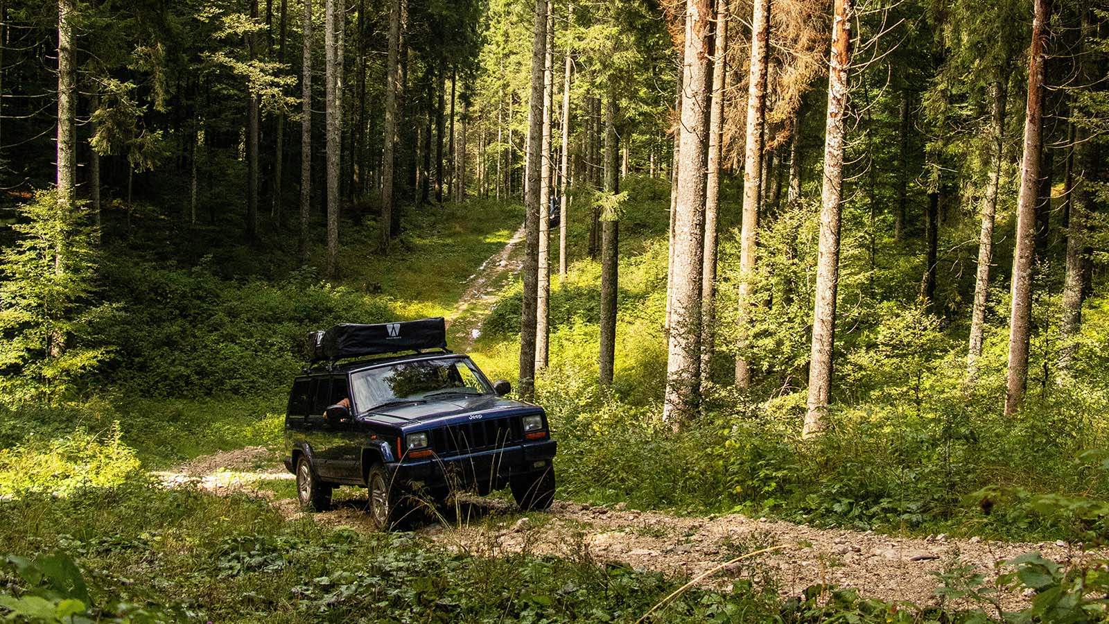 4x4_forest_ESA 4x4 forest