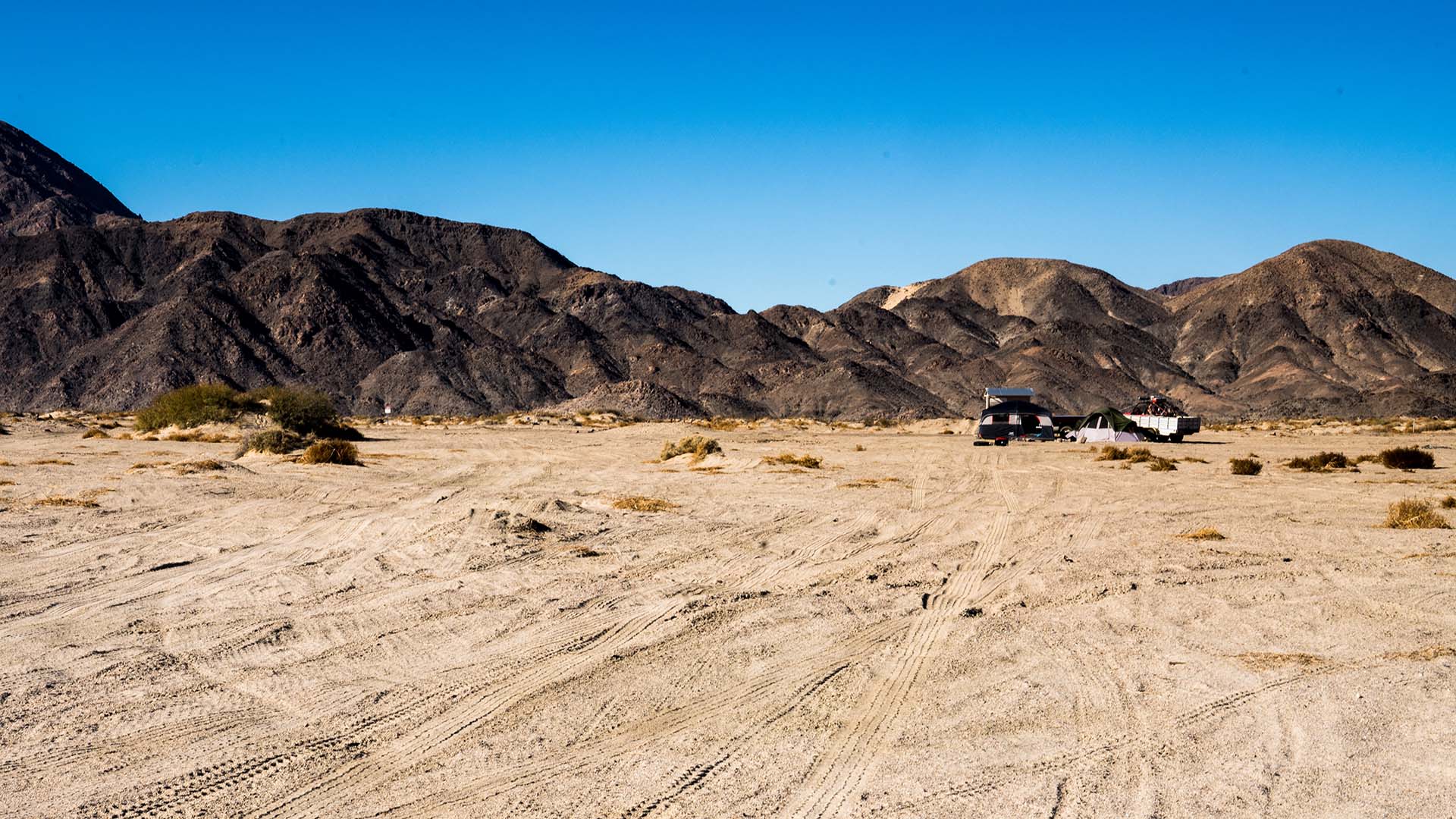 BLM Mojave Closures BRC Intervenes