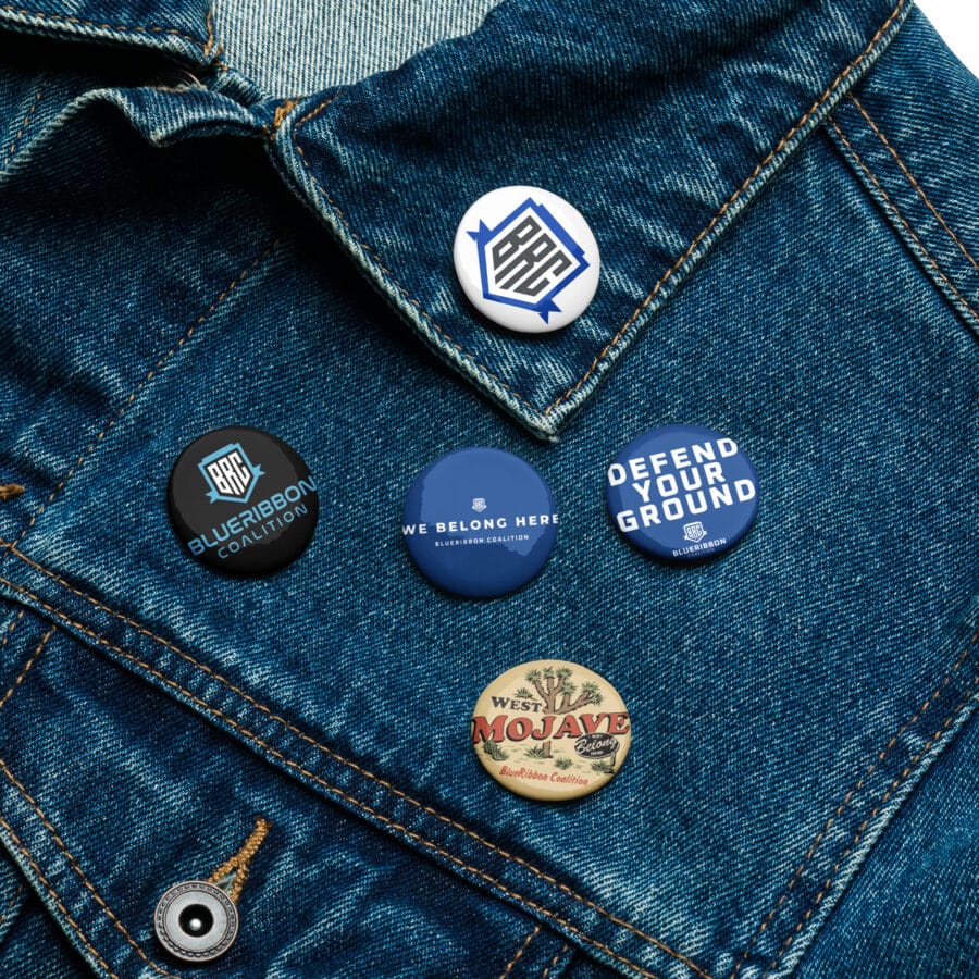 BRC Pins - 5ct - Image 2