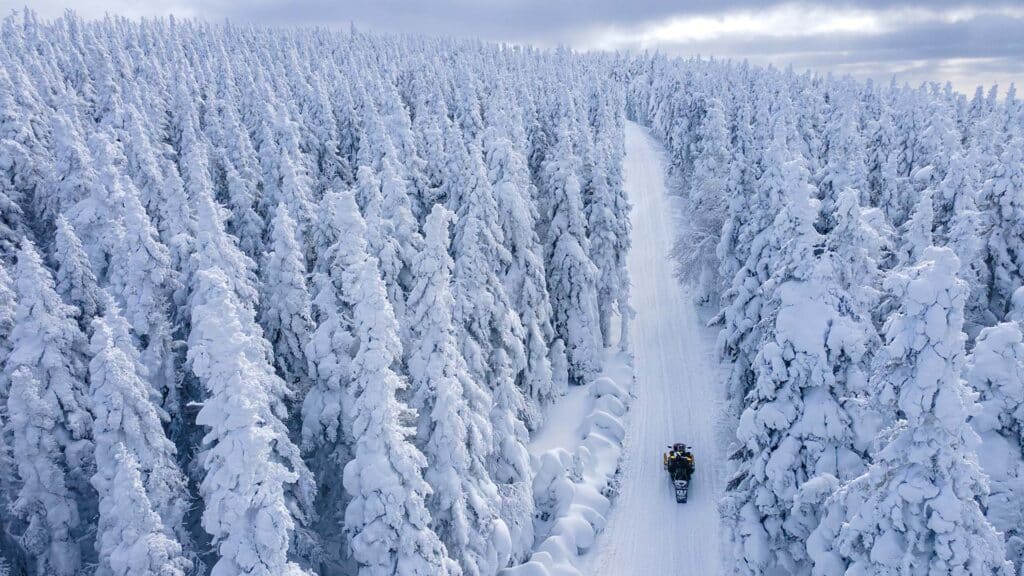 Forest Service Travel Management Rule