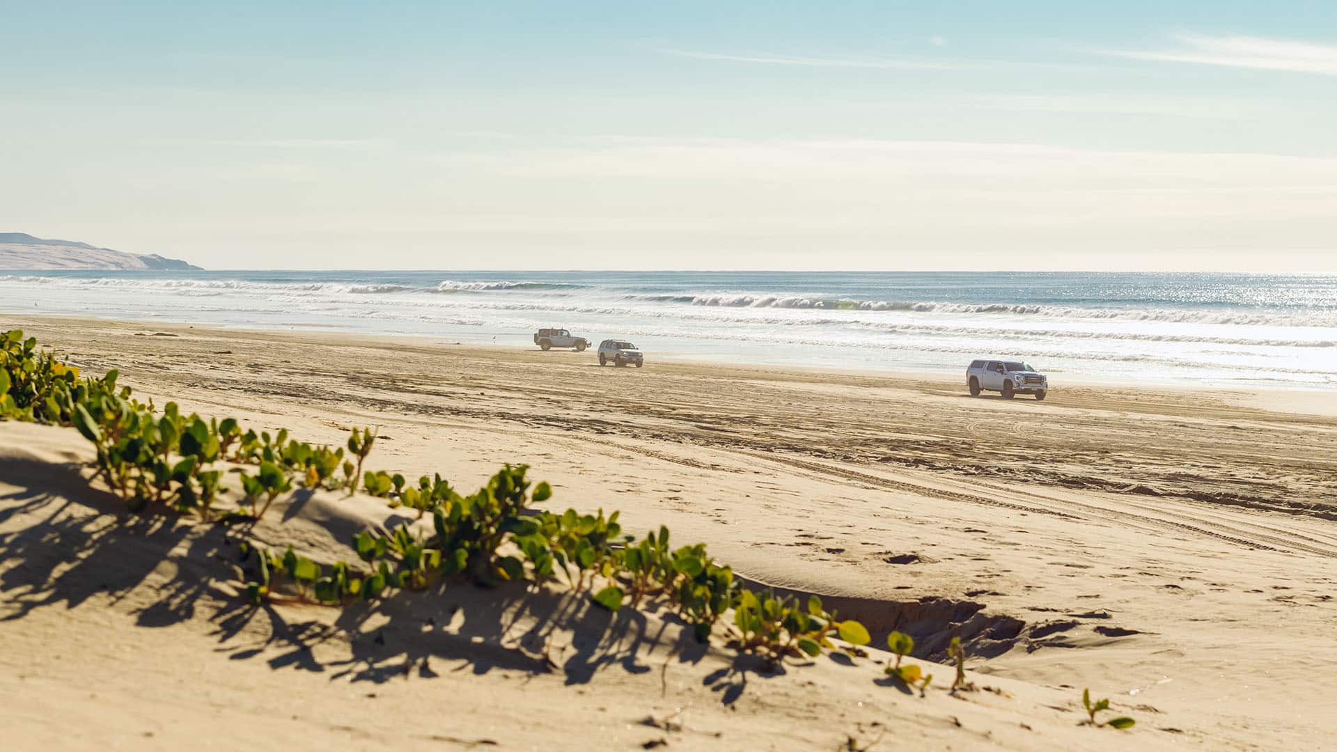 Oceano Dunes Coastal Commission