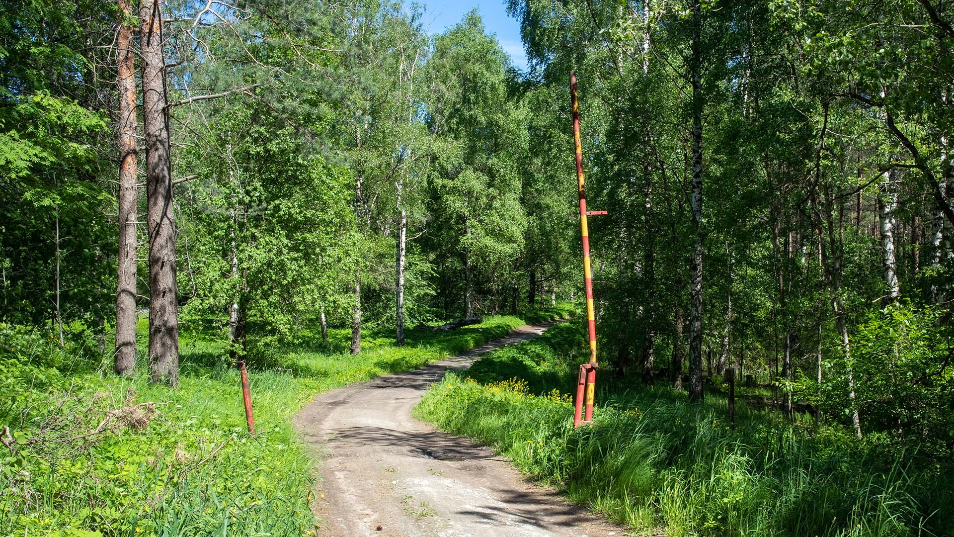 roadless_rule_gate-open Roadless Rule Comments