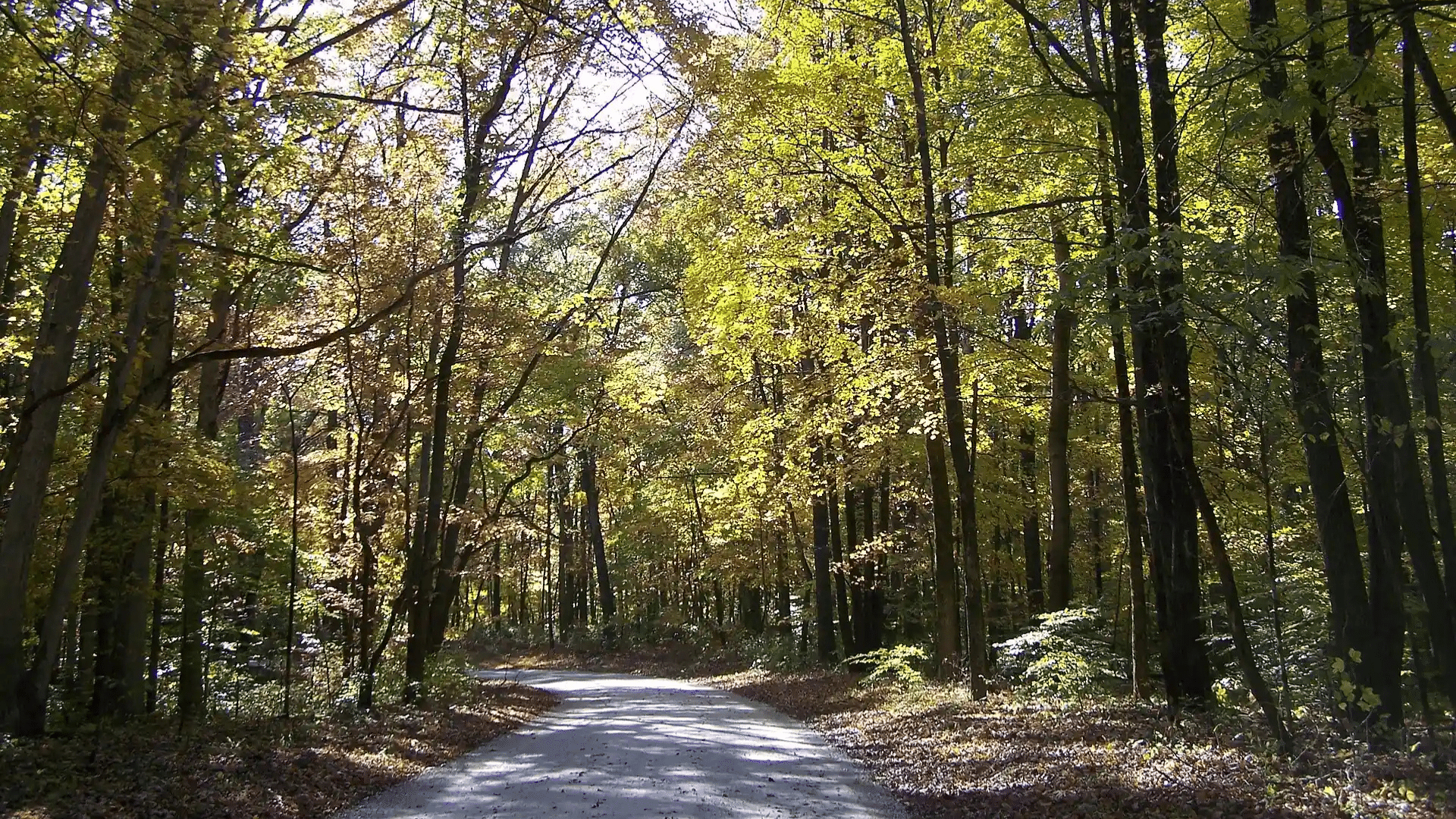 Hoosier National Forest Proposes Permanent Tower Ridge Road Closure, Comment by September 24.