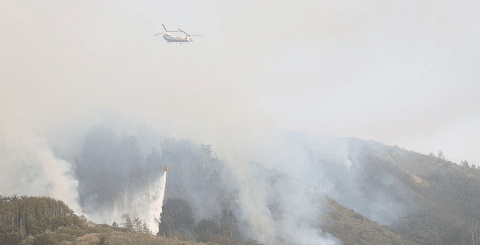 Los Padres Wildfire Risk Reduction Project Stalls as Timber, Plaskett Fires Burn Big Sur