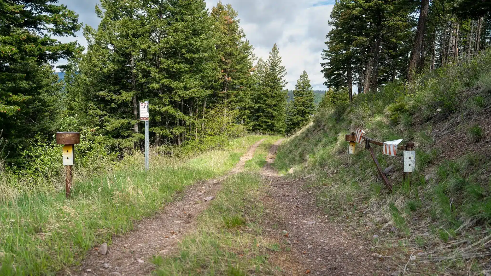 Open gate and route marker on a two-track forest road in mountain timber