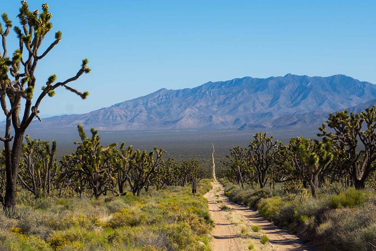 Chuckwalla National Monument